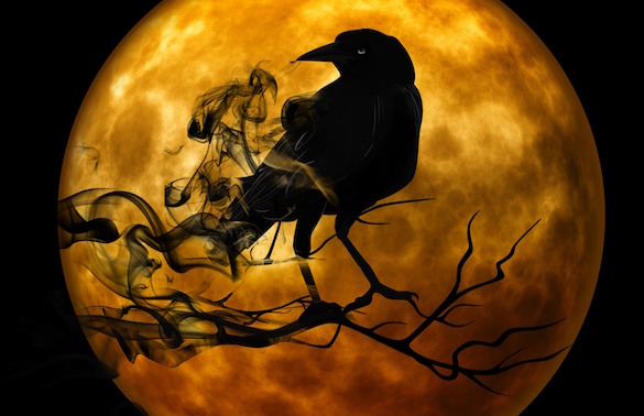 raven-mystical