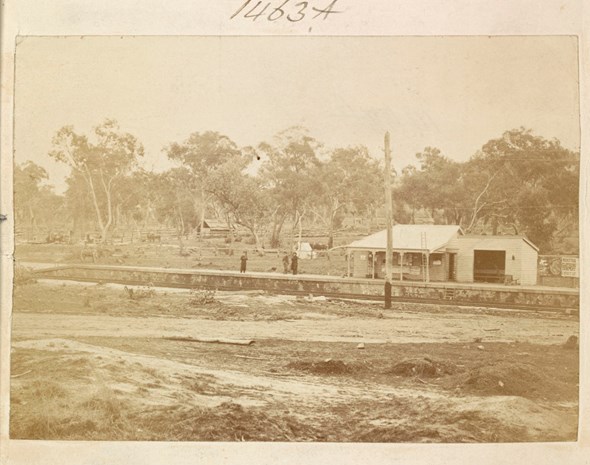 siege-at-glenrowan